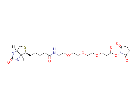 (+)-Biotin-PEG3-NHS Ester