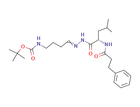 Molecular Structure of 863647-61-4 ((4-{[4-methyl-2-(3-phenyl-propionylamino)-pentanoyl]-hydrazono}-butyl)-carbamic acid <i>tert</i>-butyl ester)