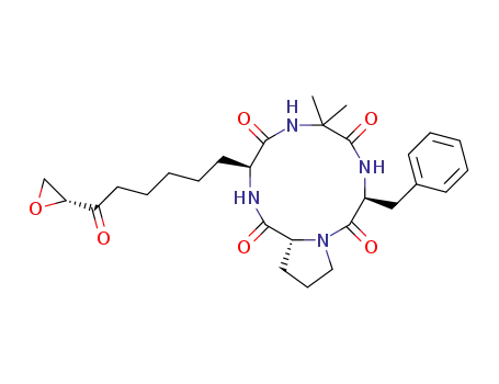 epi-chlamydocin
