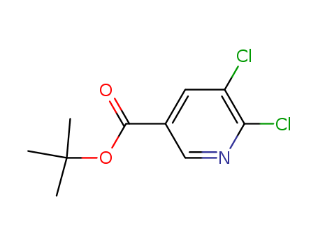5,6-Dichloro-nicotinic acid tert-butyl ester
