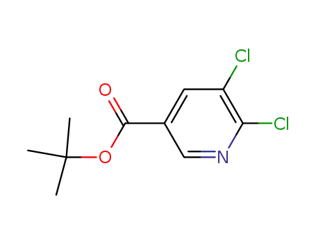 Molecular Structure of 1011476-27-9 (5,6-Dichloro-nicotinic acid tert-butyl ester)