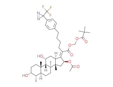 Molecular Structure of 882429-62-1 (2-[(3R,4S,5S,8S,9S,10S,11R,13R,14S,16S)-16-Acetoxy-3,11-dihydroxy-4,8,10,14-tetramethyl-hexadecahydro-cyclopenta[a]phenanthren-(17Z)-ylidene]-6-[4-(3-trifluoromethyl-3H-diazirin-3-yl)-phenyl]-hexanoic acid 2,2-dimethyl-propionyloxymethyl ester)