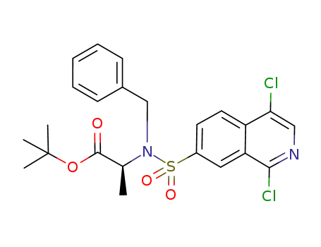 N-benzyl-N-[(1,4-dichloro-7-isoquinolinyl)sulphonyl]-L-alanine tert-butyl ester