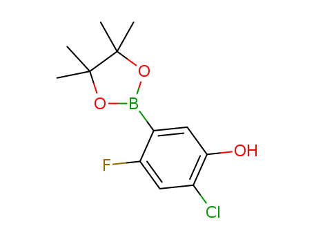 4-Chloro-2-fluoro-5-hydroxyphenylboronic acid pinacol ester