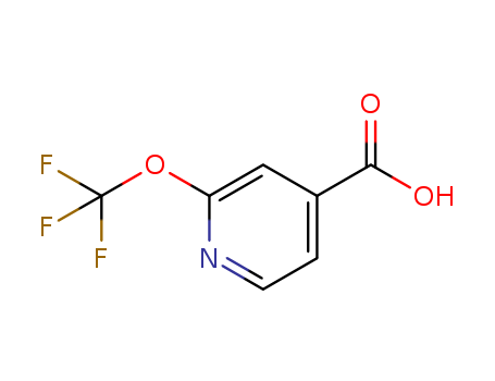 2-(trifluoroMethoxy)isonicotinic acid