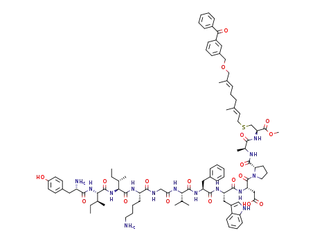 YIIKGVFWDPAC(BC<sub>10</sub>)-OCH<sub>3</sub>