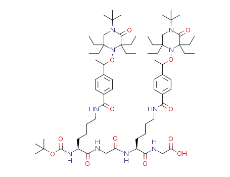 Boc-bis[Lys(4-[1-{1-tert-butyl-3,3,5,5-tetraethylpiperazin-2-on-1-yloxy}ethyl]benzoyl)-Gly]-OH