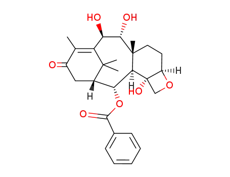 2α-benzoyloxy-5β,20-epoxy-4α,9α,10β-trihydroxy-11-taxen-13-one