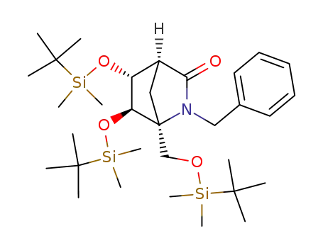 (1S,4S,5R,6R)-2-benzyl-5,6-bis(tert-butyldimethylsilanyloxy)-1-[(tert-butyldimethylsilanyloxy)methyl]-2-azabicyclo[2.2.1]heptan-3-one