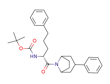 [4-phenyl-1-(3-phenyl-8-aza-bicyclo[3.2.1]octane-8-carbonyl)-butyl]-carbamic acid <i>tert</i>-butyl ester