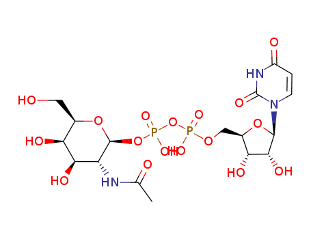 URIDINE DIPHOSPHATE N-ACETYL-D-GLUCOSAMINE, [GLUCOSAMINE-14C(U)]