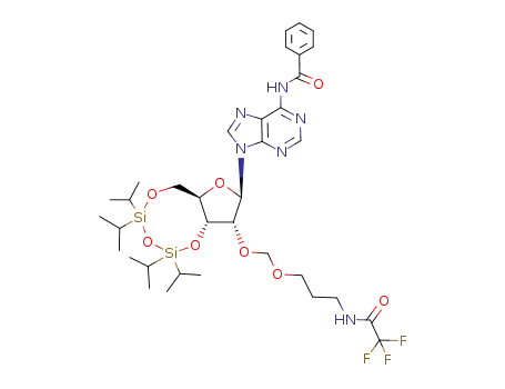 1042664-98-1