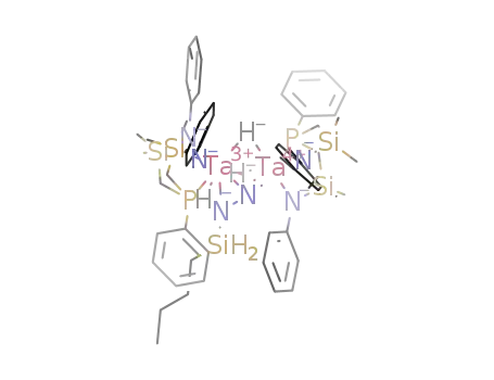 Molecular Structure of 511522-50-2 (([PhNSiMe2CH2)2PPh]TaH)(μ-H)2(μ-η1:η2-NNSiH2Bu)(Ta[PhNSiMe2CH2)2PPh]))