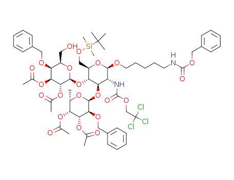 1453169-62-4