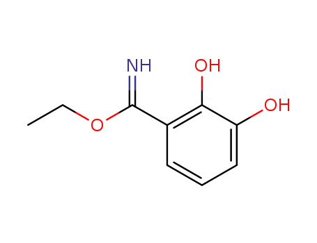ethyl 2,3-dihydroxybenzimidate