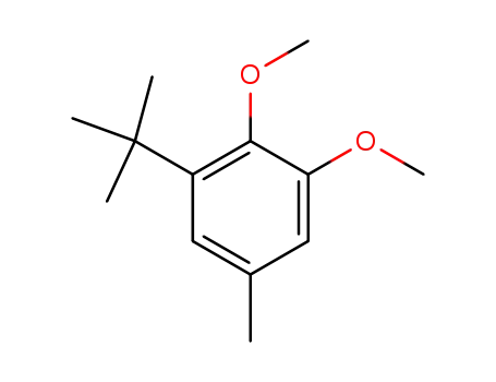 Molecular Structure of 34582-29-1 (Benzene, 1-(1,1-dimethylethyl)-2,3-dimethoxy-5-methyl-)