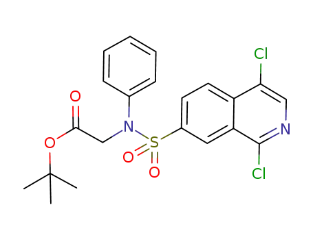 N-[(1,4-dichloro-7-isoquinolinyl)sulphonyl]-N-phenylglycine tert-butyl ester