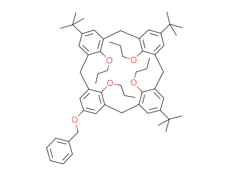 1101847-13-5