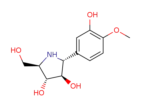 Molecular Structure of 431981-74-7 (3,4-Pyrrolidinediol, 2-(3-hydroxy-4-methoxyphenyl)-5-(hydroxymethyl)-,
(2R,3R,4R,5R)-)