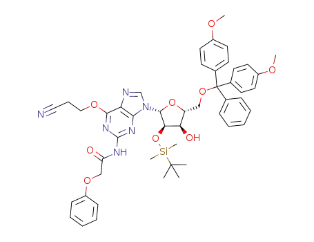 5'-O-DMTr-2'-O-TBDMS-6-O-(2-cyanoethyl)-2-N-phenoxyacetylguanosine
