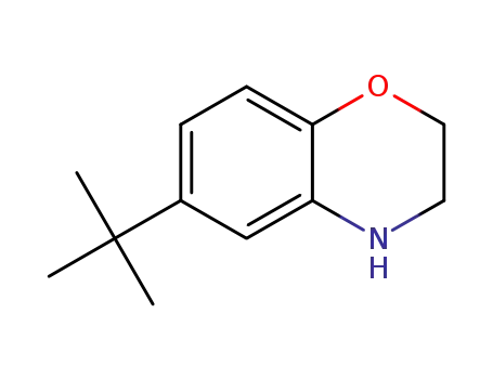 Molecular Structure of 937681-62-4 (3,4-dihydro-6-t-butyl-2H-1,4-benzoxazine)