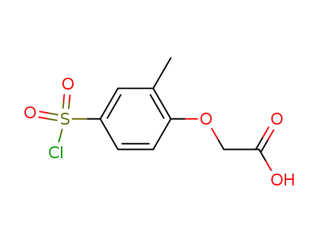 Molecular Structure of 23095-23-0 ({[4-(chlorosulfonyl)-2-methylphenyl]oxy}acetic acid)