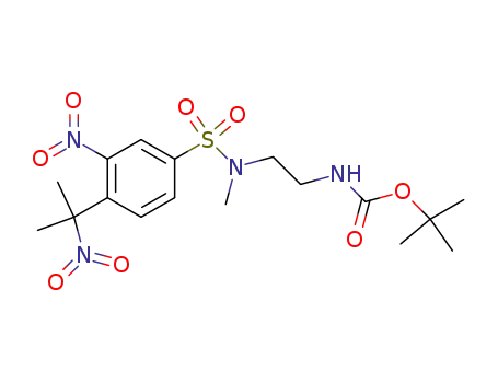 Molecular Structure of 126813-49-8 (N-<2-<<(1,1-dimethylethoxy)carbonyl>amino>ethyl>-N-methyl-3-nitro-4-(1-methyl-1-nitroethyl)benzenesulfonamide)