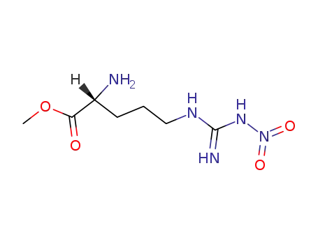 D- 이름