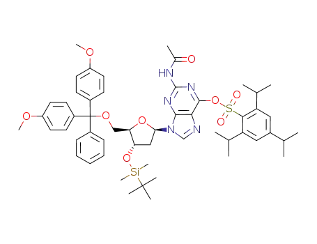 O<sup>6</sup>-(2,4,6-triisopropylbenzenesulfonyl)-5'-O-dimethoxytrityl-3'-O-(tert-butyldimethylsilyl)-N<sup>2</sup>-acetyldeoxyguanosine