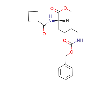 Molecular Structure of 96867-09-3 (N<sup>ε</sup>-(benzyloxycarbonyl)-N<sup>α</sup>-(cyclobutylcarbonyl)-L-lysine methyl ester)