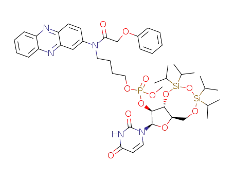 Molecular Structure of 211441-74-6 (3',5'-O-1,1,3,3-tetraisopropyl-1,3-disiloxyl-arabinouridine 2'-(O-methyl)-(O-2-(N-methyl)amino phenazine-4-N-butyl) phosphate)