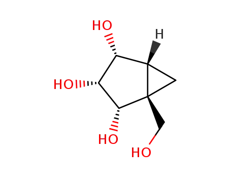 Bicyclo[3.1.0]hexane-2,3,4-triol, 1-(hydroxymethyl)-, (1S,2S,3R,4R,5R)- (9CI)
