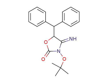 5-benzhydryl-3-tert-butoxy-4-imino-oxazolidin-2-one
