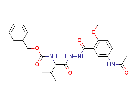 {1-[N'-(5-acetylamino-2-methoxybenzoyl)hydrazinocarbonyl]-2-methylpropyl}carbamic acid benzyl ester