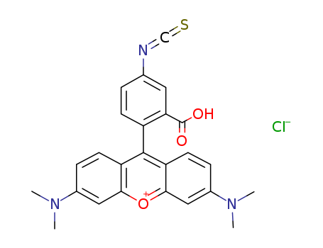 Tetramethylrhodamine-5(6)-isothiocyanate
