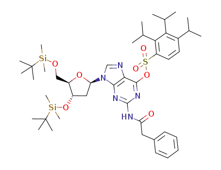 2,3,4-triisopropyl-benzenesulfonic acid 9-[4-(<i>tert</i>-butyl-dimethyl-silanyloxy)-5-(<i>tert</i>-butyl-dimethyl-silanyloxymethyl)-tetrahydro-furan-2-yl]-2-phenylacetylamino-9<i>H</i>-purin-6-yl ester