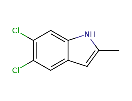 Molecular Structure of 479422-03-2 (5,6-DICHLORO-2-METHYL-1H-INDOLE)