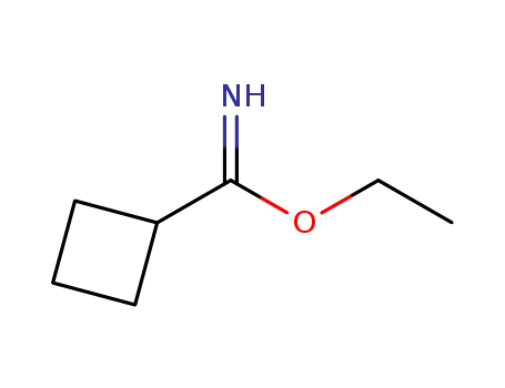 Molecular Structure of 82218-95-9 (CYCLOBUTANECARBOXIMIDIC ACID ETHYL ESTER)