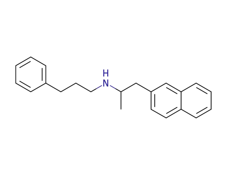 (1-Methyl-2-naphthalen-2-yl-ethyl)-(3-phenyl-propyl)-amine