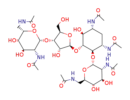 Molecular Structure of 62906-25-6 (hexa N-acetyl-neomycin B)