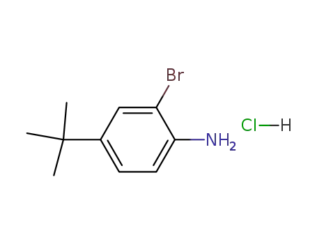 2-bromo-4-<i>tert</i>-butyl-aniline; hydrochloride