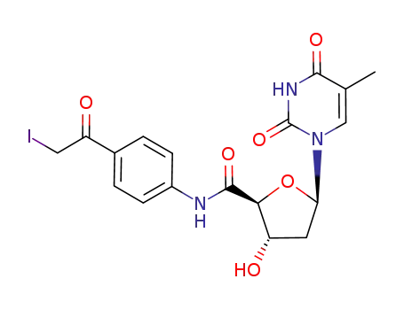 N-<4-(iodoacetyl)phenyl>-1,2-dideoxy-1-<3,4-dihydro-5-methyl-2,4-dioxo-1(2H)-pyrimidinyl>-β-D-erythro-pentofuranuronamide
