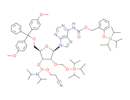 5'-O-(4,4'-dimethoxytrityl)-N<sup>6</sup>-{{{2-[(triisopropylsilyl)oxy]benzyl}oxy}carbonyl}-2'-O-{[(triisopropylsilyl)oxy]methyl}adenosine 3'-(2-cyanoethyl diisopropylphosphoramidite)