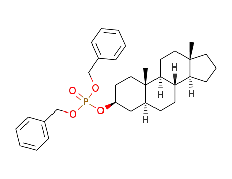 Molecular Structure of 230630-63-4 (dibenzyl 5α-androstan-3β-yl phosphate)