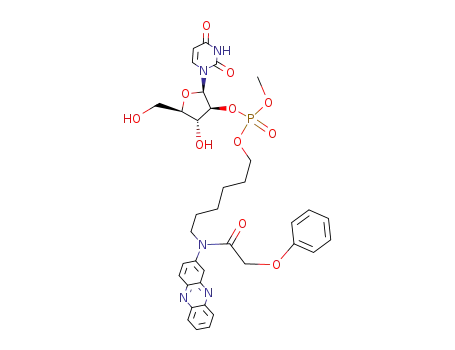 arabinouridine 2'-(O-methyl)-(O-2-(N-methyl)amino phenazine-6-N-hexyl) phosphate