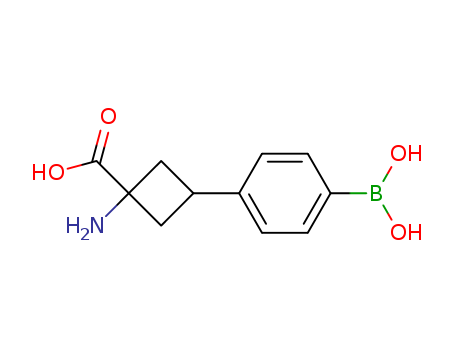 1-amino-3-(4-boronophenyl)cyclobutanecarboxylic acid