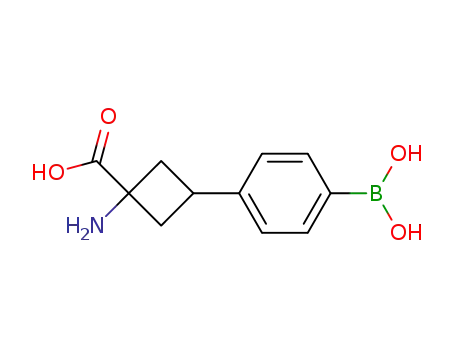 Molecular Structure of 254892-82-5 (1-amino-3-(4-dihydroxyborylphenyl)cyclobutanecarboxylic acid)
