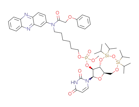 Molecular Structure of 211441-75-7 (3',5'-O-1,1,3,3-tetraisopropyl-1,3-disiloxyl-arabinouridine 2'-(O-methyl)-(O-2-(N-methyl)amino phenazine-6-N-hexyl) phosphate)