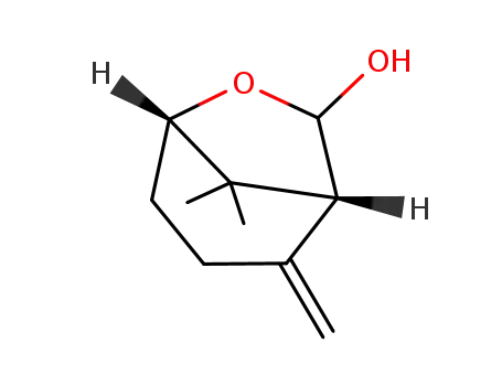 Molecular Structure of 357924-22-2 (8,8-dimethyl-2-methylene-6-oxabicyclo[3.2.1]octan-7-ol)