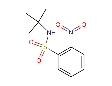 Molecular Structure of 363587-67-1 (N-tert-Butyl-2-nitrobenzenesulfonaMide, 97%)
